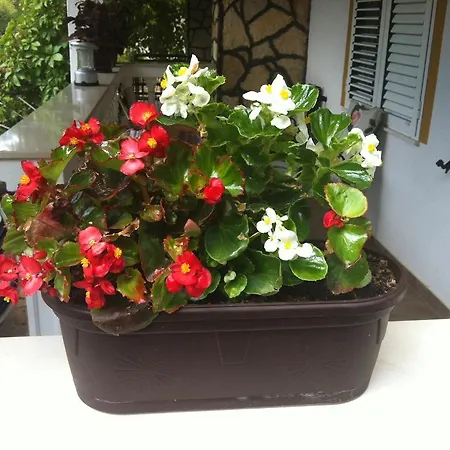 Jasna Vodice